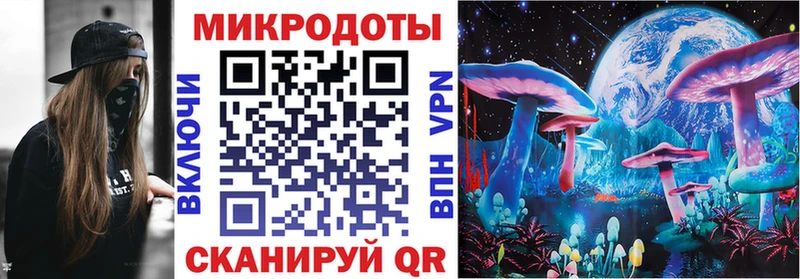Галлюциногенные грибы мицелий  Купить где  Конаково 